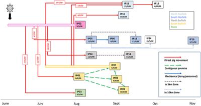 Molecular Epidemiology Questions Transmission Pathways Identified During the Year 2000 Outbreak of Classical Swine Fever in the UK